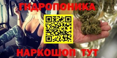 сатива Гусев
