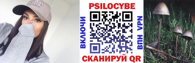 цена   Севастополь  Псилоцибиновые грибы MAGIC MUSHROOMS 